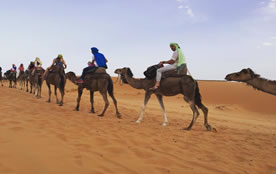Caravana de Camellos