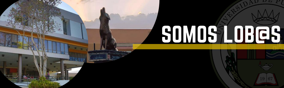 somos-lobos Edificio administrativo, escultura de un lobo y texto Somos Lob@s