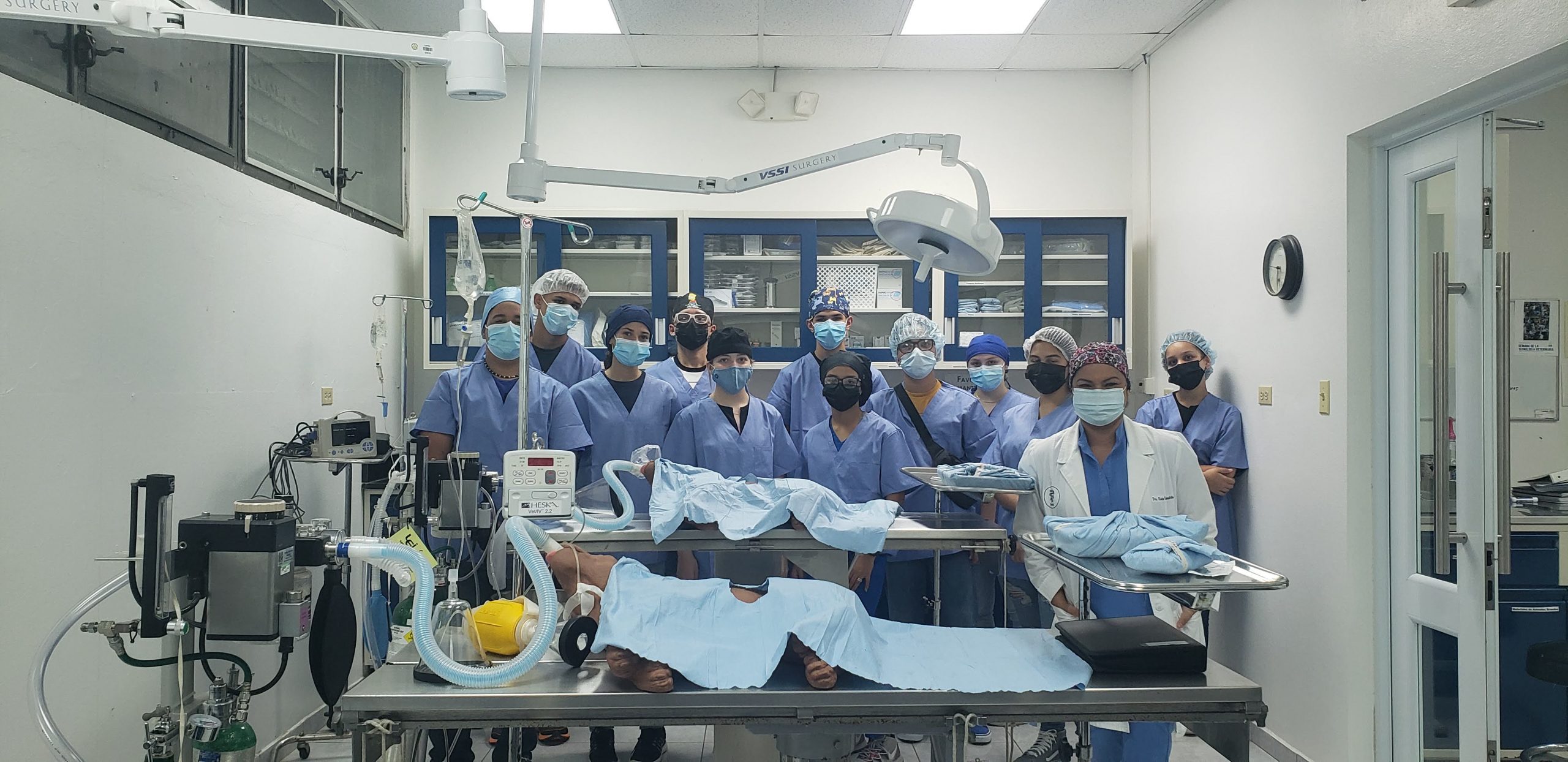 Vet Camp Verano Universidad de Puerto Rico en Arecibo