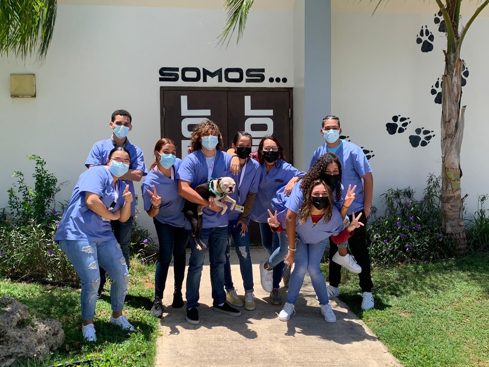 Grado Asociado en Tecnología Veterinaria Universidad de Puerto Rico