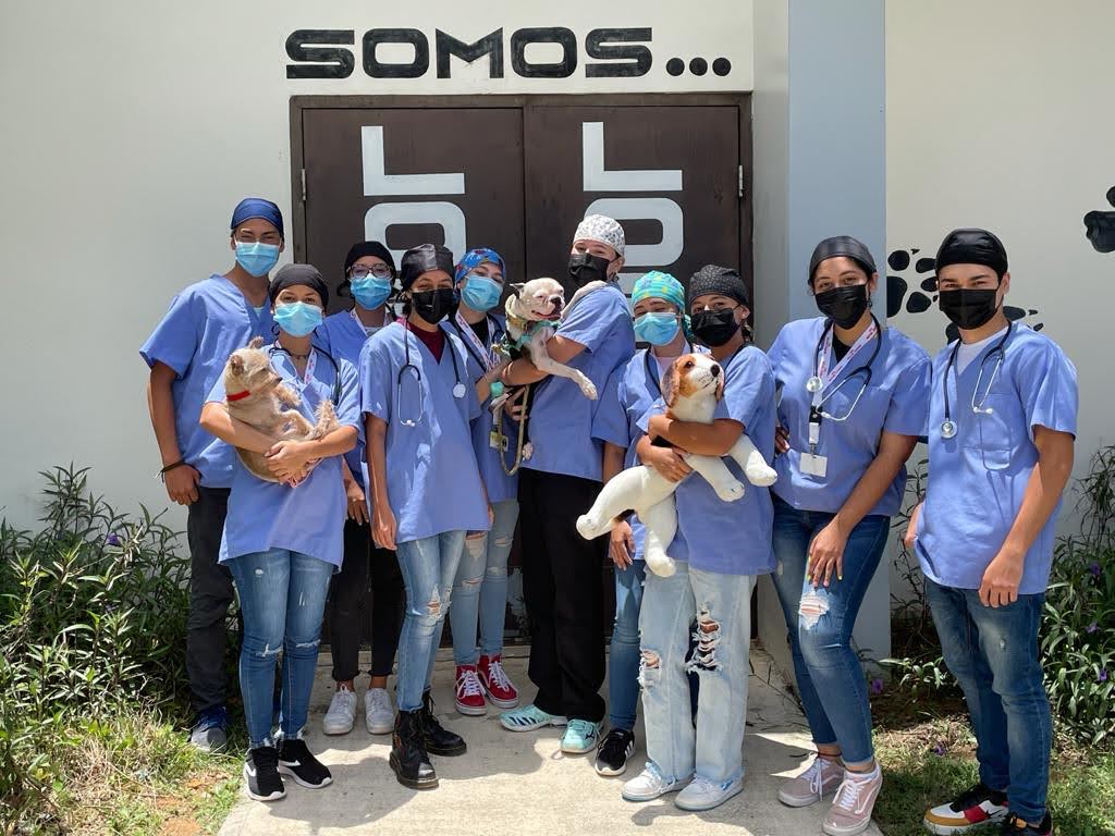 Grado Asociado en Tecnología Veterinaria Universidad de Puerto Rico