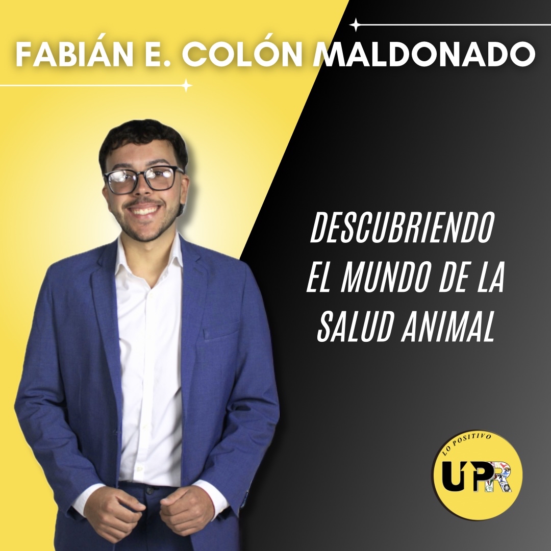 Descubriendo el mundo de la salud animal
