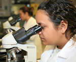 Una estudiante mirando a través de un miscroscopio
