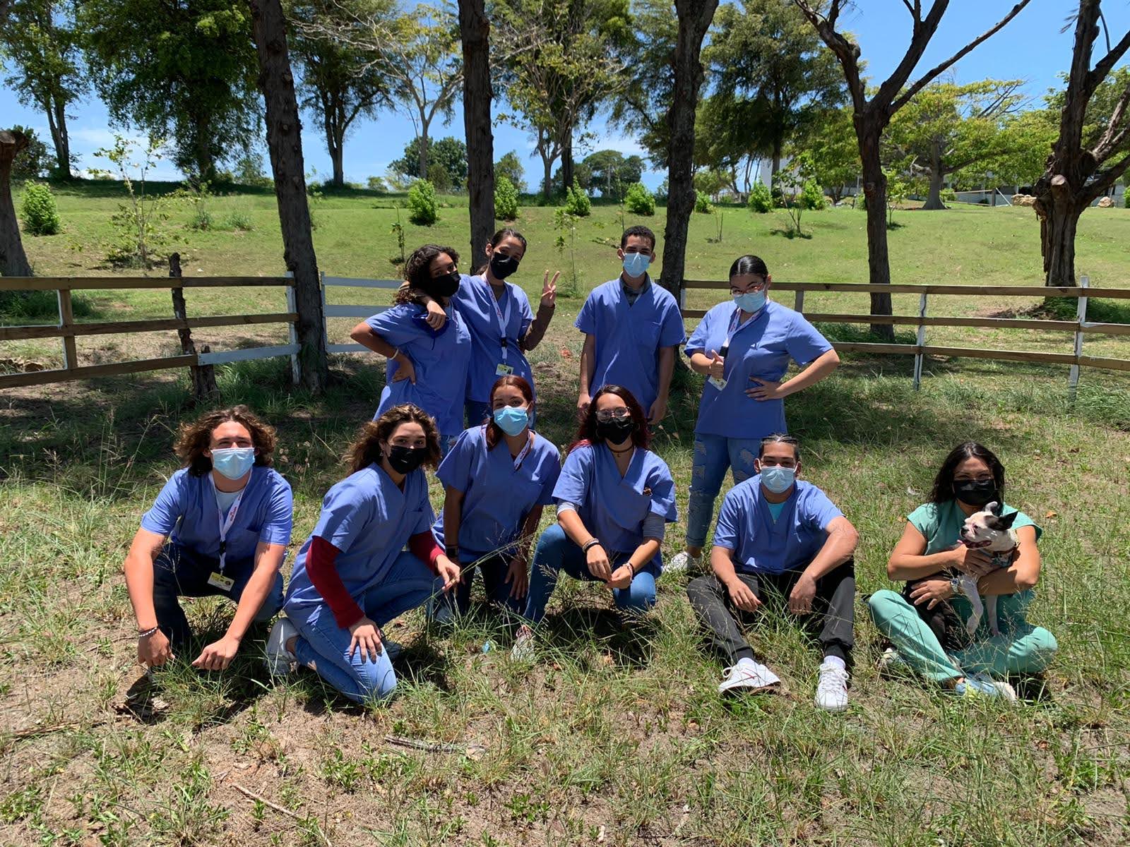 Vet Camp Verano Universidad de Puerto Rico en Arecibo