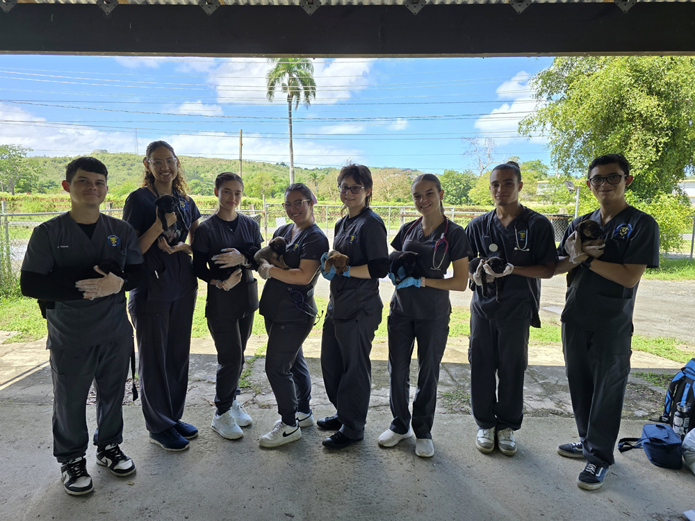 Ocho estudiantes de tecnología veterinaria posan en fila, cada uno sosteniendo un cachorro. Visten uniformes clínicos grises y guantes, con el fondo de un paisaje rural. La imagen refleja una práctica veterinaria en un entorno educativo al aire libre.