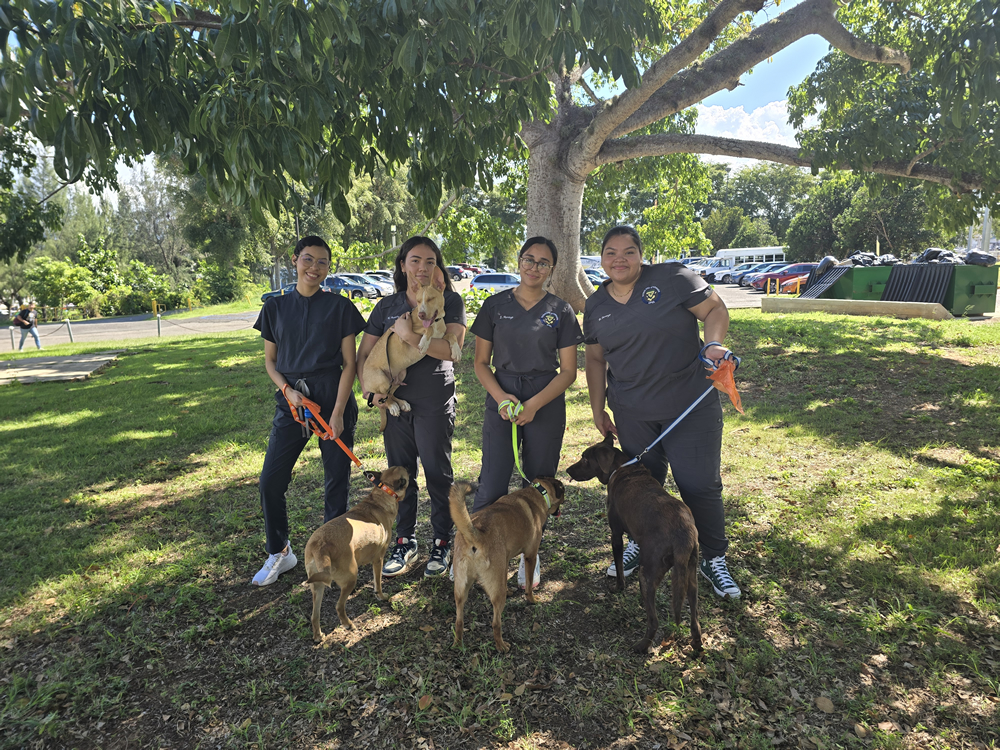 Cuatro estudiantes de Tecnología Veterinaria de la UPR en Arecibo posan al aire libre con varios perros bajo un árbol, durante una actividad práctica o paseo, en los predios de la universidad.