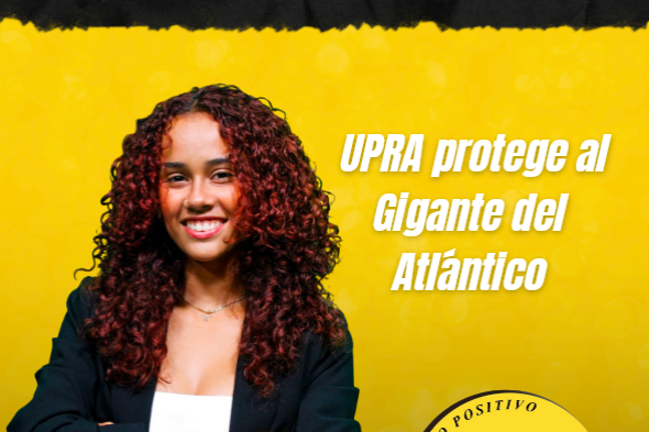 Soemil K. Ríos Ferrer